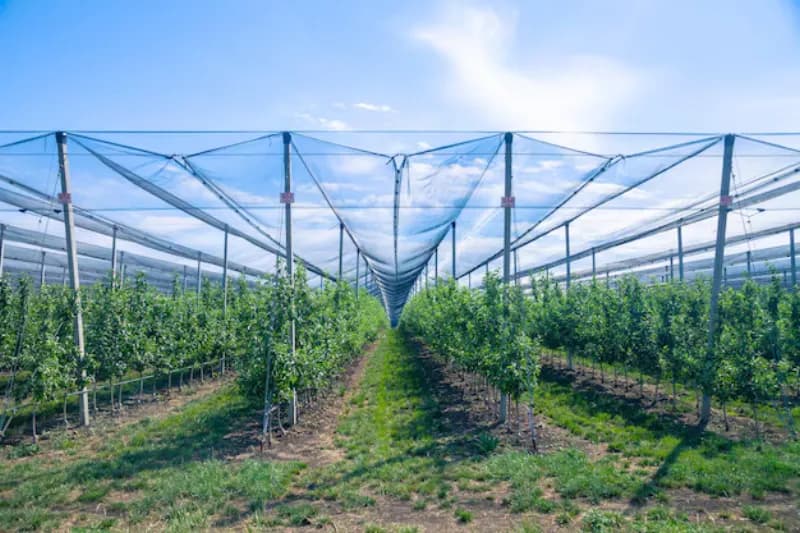 Mallas agrícolas
