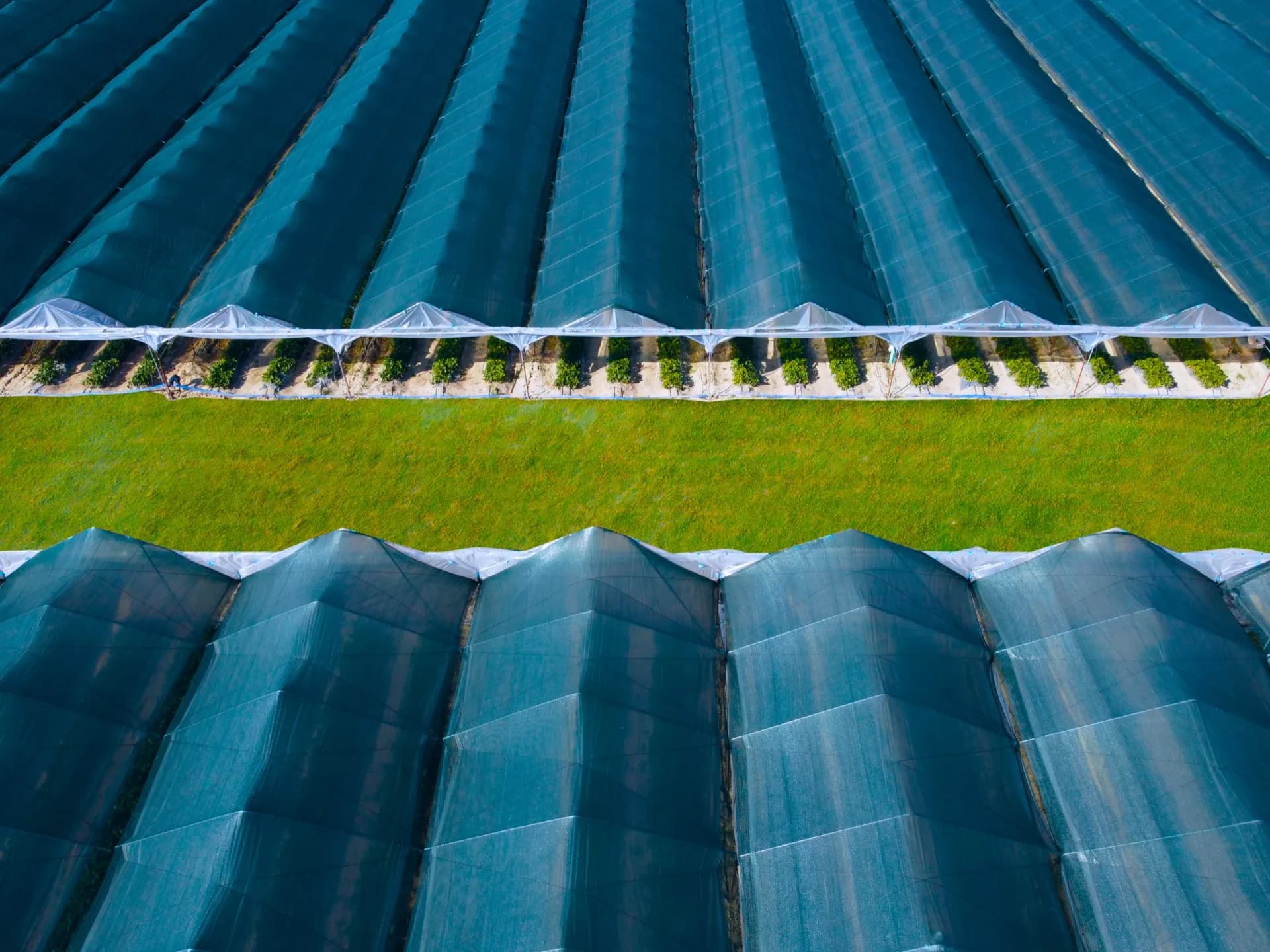 Malla de sombreo HDPE instalada en campo agrícola — fabricante Textil Villa de Pego